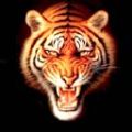 Avatar utente