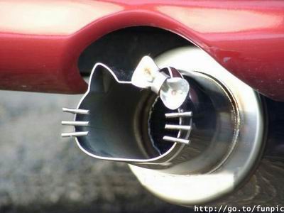 muffler[1].jpg