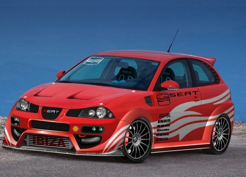 seat_ibiza_racing.jpg