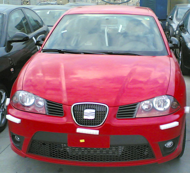 MycupraF.jpg