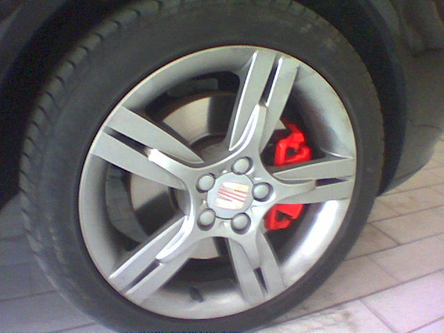 Anteriore DX.jpg
