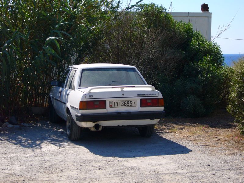 P1000342.JPG