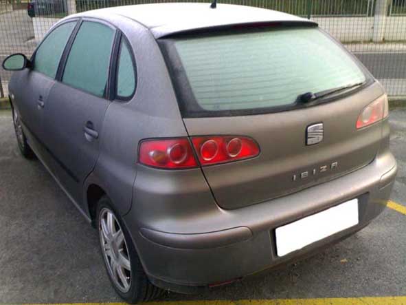 Iby congelata 01.jpg