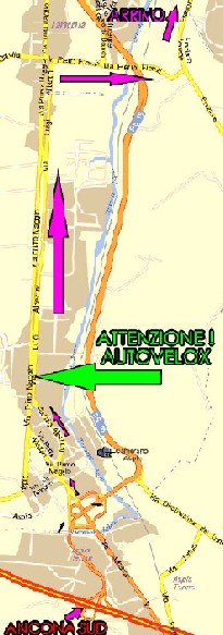 ancona1tp5.jpg