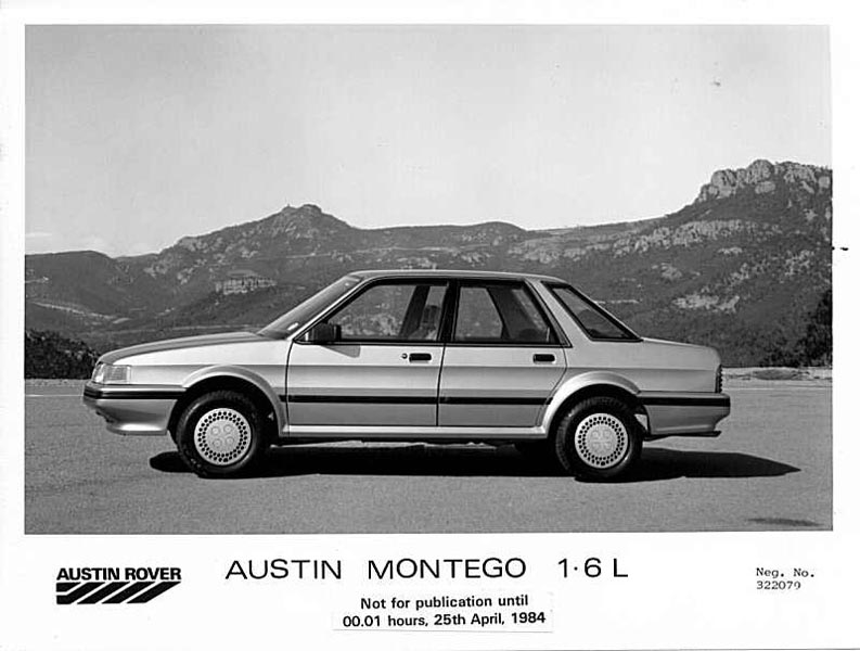 monte_4.jpg
