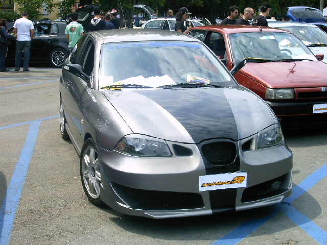 Bicolor.JPG