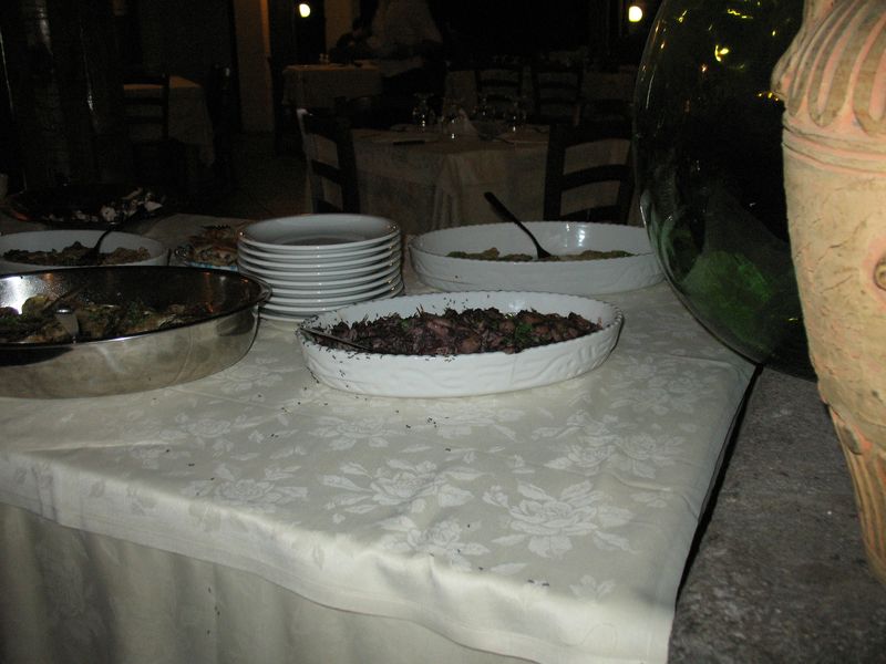 IMG_1090 [800x600].jpg