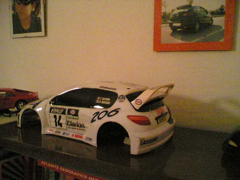 carena 206 WRC.jpg