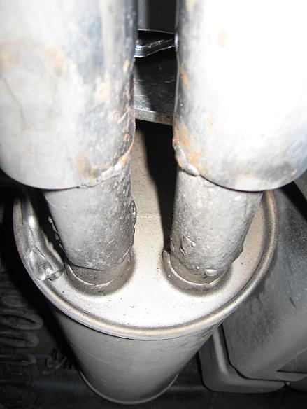 miacupra 010.jpg