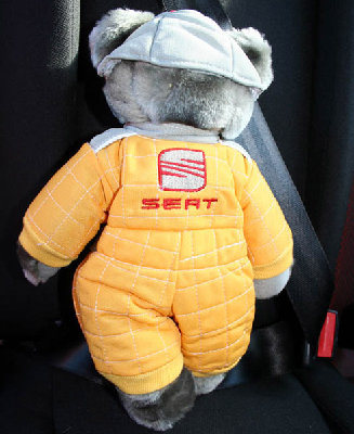 teddy rear.jpg
