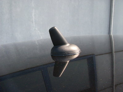 Iby 11.JPG