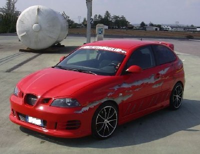 3a EVOLUZIONE 012.jpg
