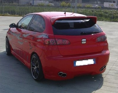 3a EVOLUZIONE 011.jpg