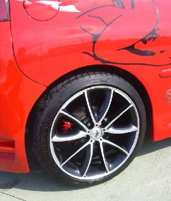 3a EVOLUZIONE 005.jpg