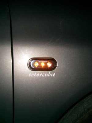 S7303475 (Medium) (Medium).JPG