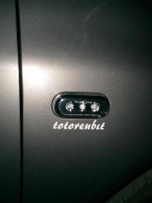 S7303474 (Medium) (Medium).JPG