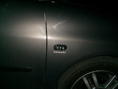 S7303468 (Medium).JPG