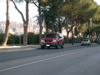S7303665 (Medium).JPG