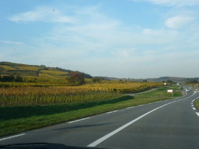 P1010109.JPG