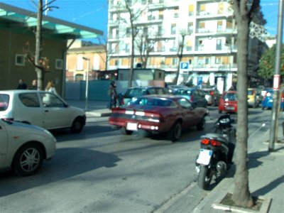 24122008779 (Medium).JPG