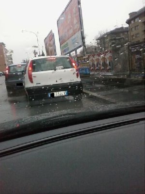 Foto0174.jpg