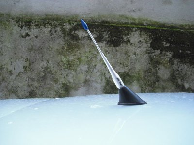 CIMG0275.jpg