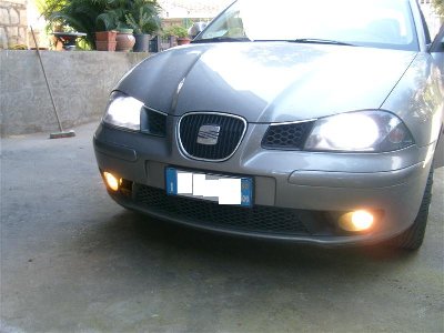 S7303892 (Medium).JPG