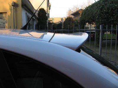 miacupra 005.jpg