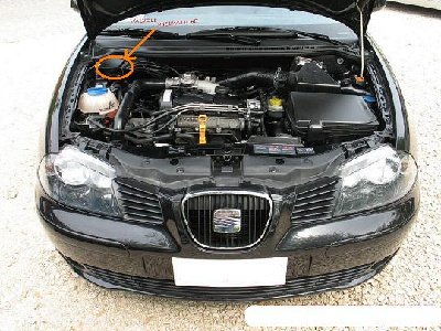 BBibiza-14-td-motor1.jpg