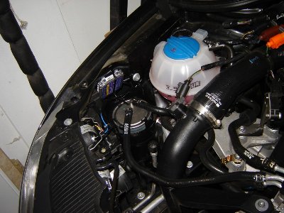 DSC01494 [800x600].JPG