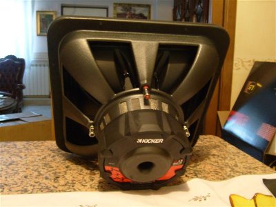 S7304642 (Medium).JPG