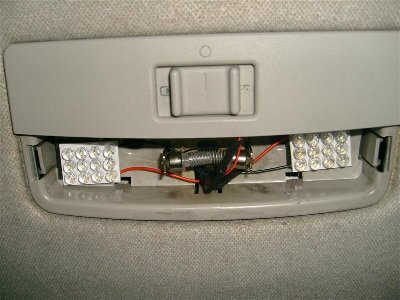 S7304935 (Medium).JPG