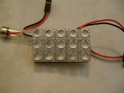 S7304951 (Medium).JPG