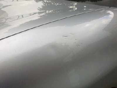 10012010021c.jpg