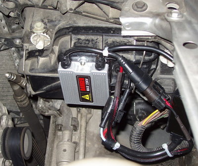 Xenon anabaglianti (7).JPG