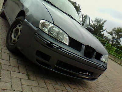 IMG0050A.jpg