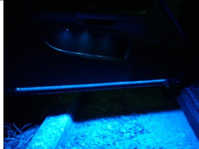 S6006137.JPG