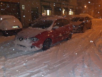 ibi neve02.jpg