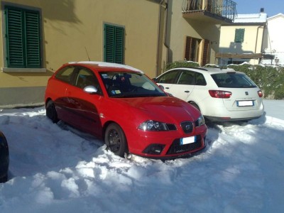 ibi neve01.jpg