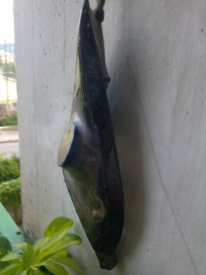 29062011334.jpg