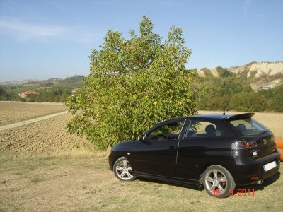 Esterni (14).JPG