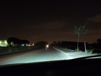 DSCF2116_800x600.JPG
