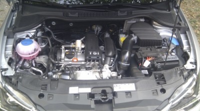 IMAG0081_crop_resize.jpg