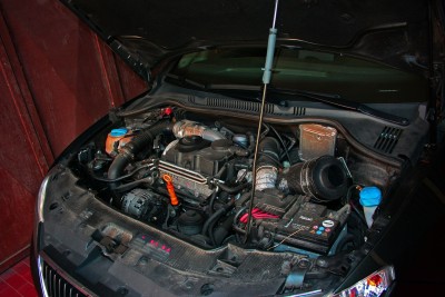 IMG_8904.JPG