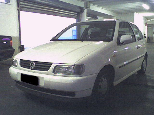 Polo01.jpg