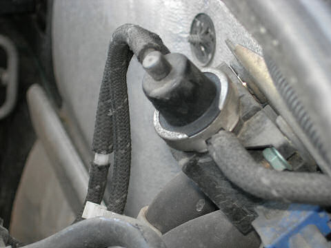 DSCN0232.JPG