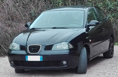 Seat-Ibiza-1.9-TDI-130cv-Sport.jpg